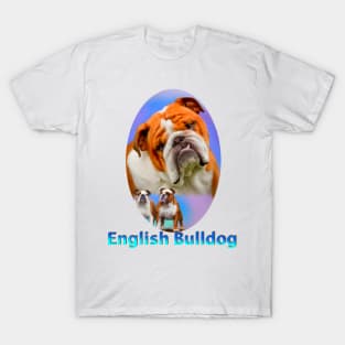 English Bulldog T-Shirt